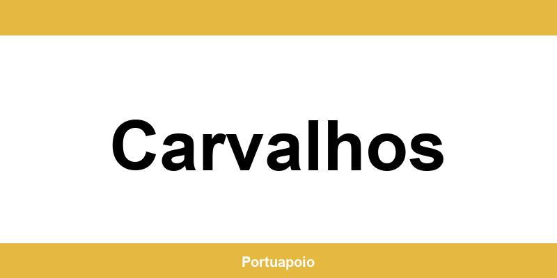 Contacto da Segurança Social em Carvalhos – telefone e atendimento
