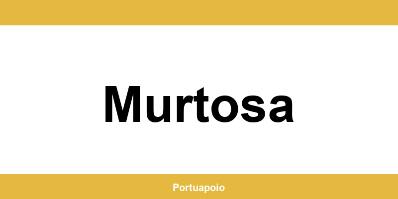 Contacto da Segurança Social em Murtosa – telefone e atendimento