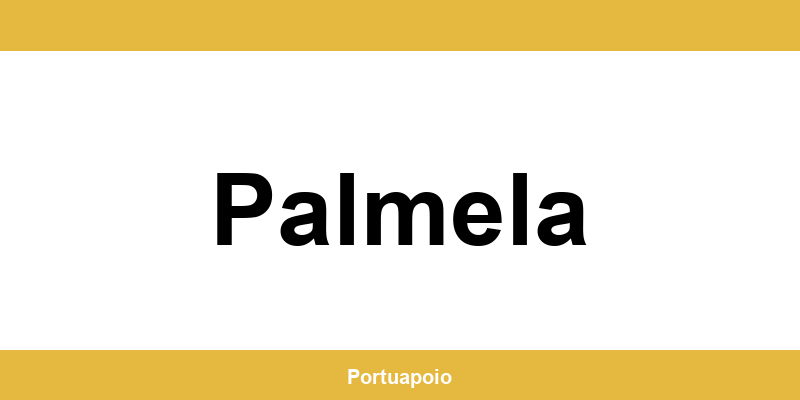 Contacto da Segurança Social em Palmela – telefone e atendimento