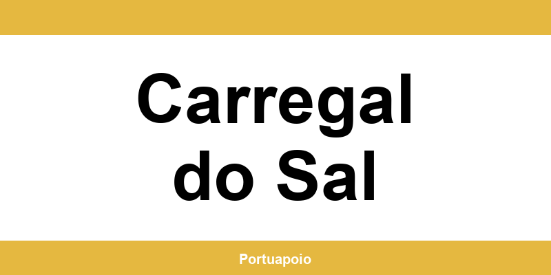 Contacto da Segurança Social em Carregal do Sal – telefone e atendimento