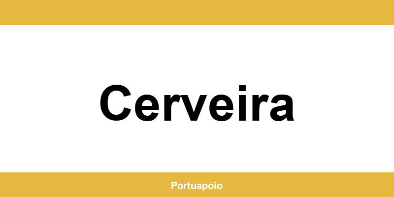 Contacto da Segurança Social em Cerveira – telefone e atendimento