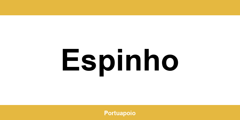 Contacto da Segurança Social em Espinho – telefone e atendimento