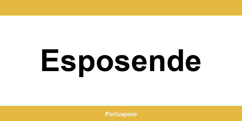 Contacto da Segurança Social em Esposende – telefone e atendimento