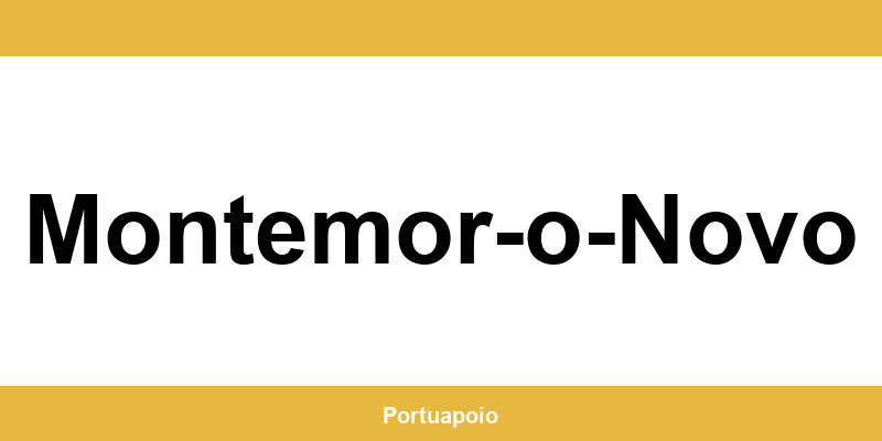 Contacto da Segurança Social em Montemor-o-Novo – telefone e atendimento