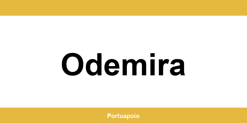 Contacto da Segurança Social em Odemira – telefone e atendimento