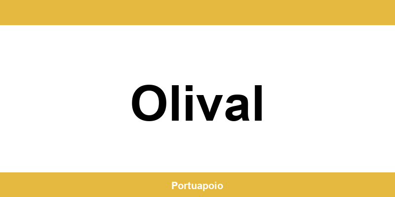 Contacto da Segurança Social em Olival – telefone e atendimento