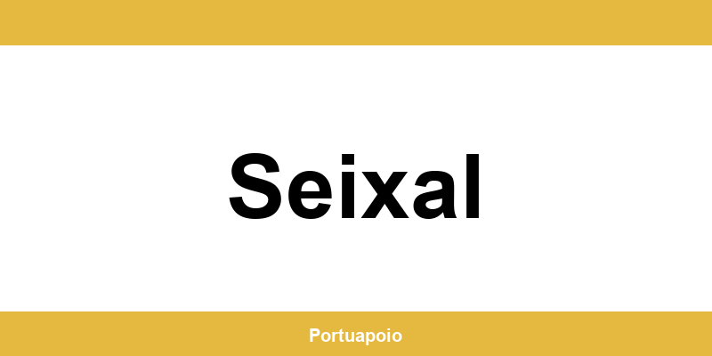 Contacto da Segurança Social em Seixal – telefone e atendimento