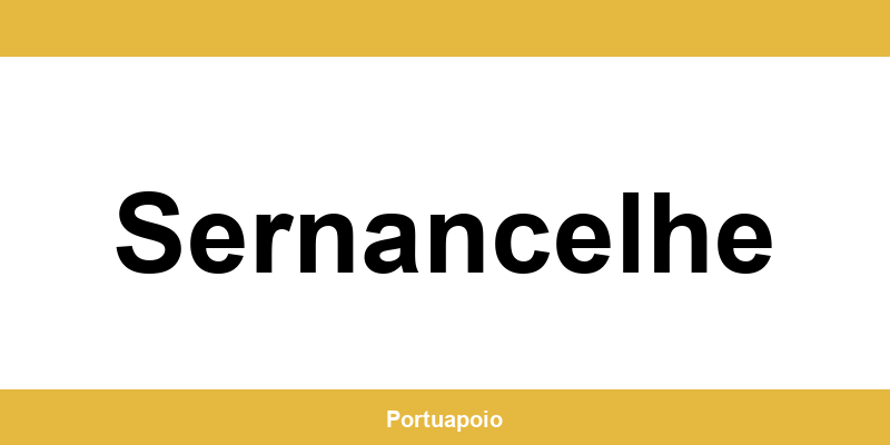 Contacto da Segurança Social em Sernancelhe – telefone e atendimento