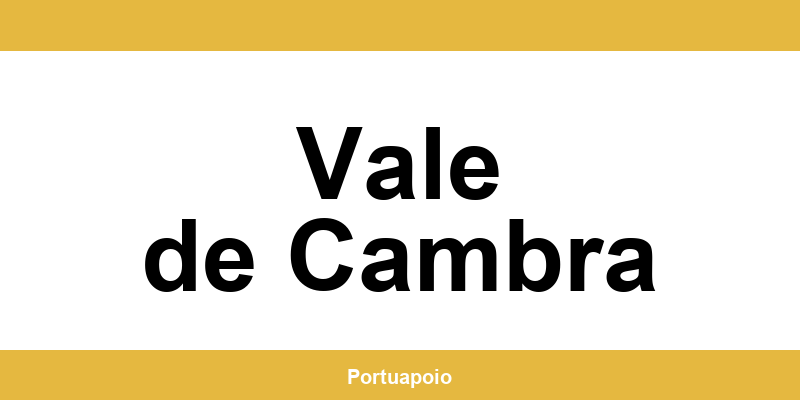 Contacto da Segurança Social em Vale de Cambra – telefone e atendimento