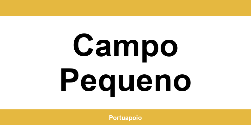 Contacto da Segurança Social em Campo Pequeno – telefone e atendimento