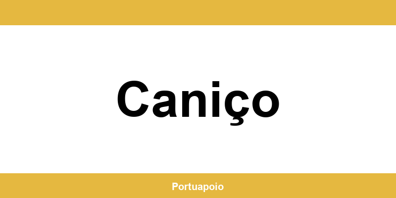 Contacto da Segurança Social em Caniço – telefone e atendimento