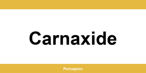 Contacto da Segurança Social em Carnaxide – telefone e atendimento