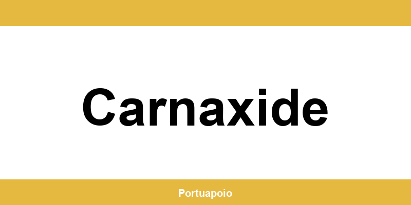 Contacto da Segurança Social em Carnaxide – telefone e atendimento