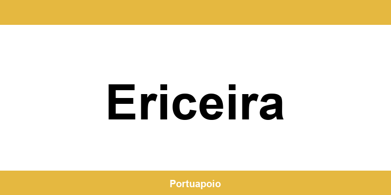 Contacto da Segurança Social em Ericeira – telefone e atendimento
