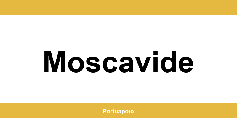 Contacto da Segurança Social em Moscavide – telefone e atendimento